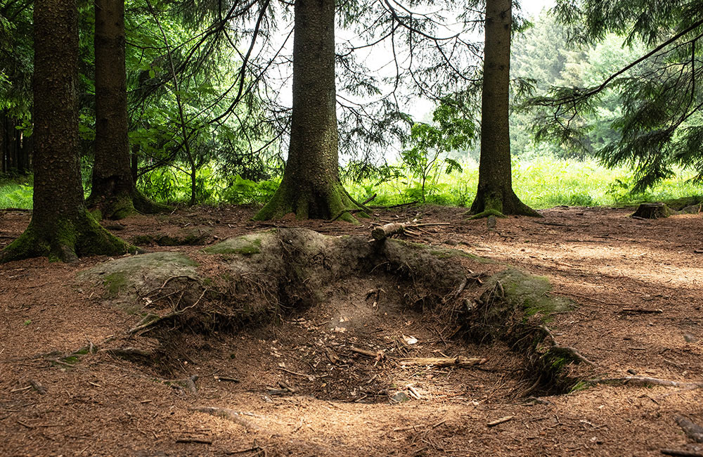 Foxholes of Bois Jacques