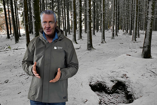 8-day BULGE ANNIVERSARY