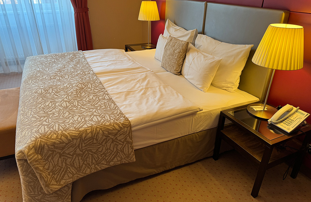 Hotel room in Vienna